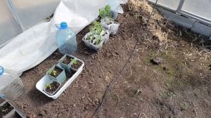 На удивление или все так и должно быть.