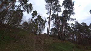 Звенигородский лес Много загадочных мест Прогулка в лесу