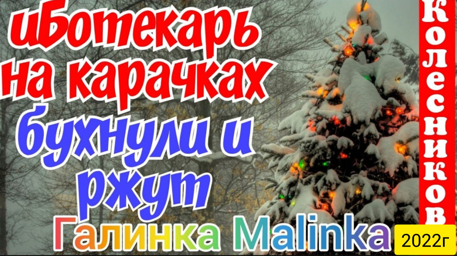 Колесниковы _ИБотекарь на карачках _Бухнули и ржут _Обзор Влогов _