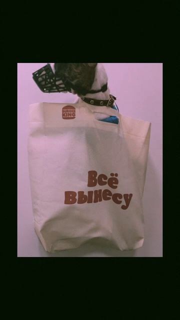 немножко моей жизни