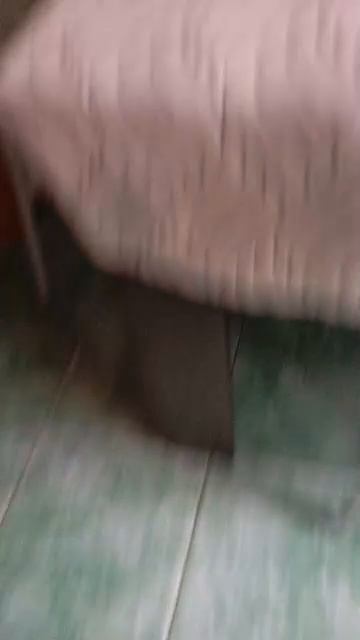 Марсель пропал