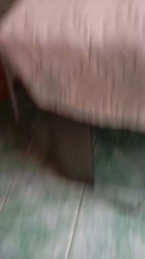 Марсель пропал