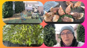 Жизнь в деревне.🏡Поработали в огороде хорошо!