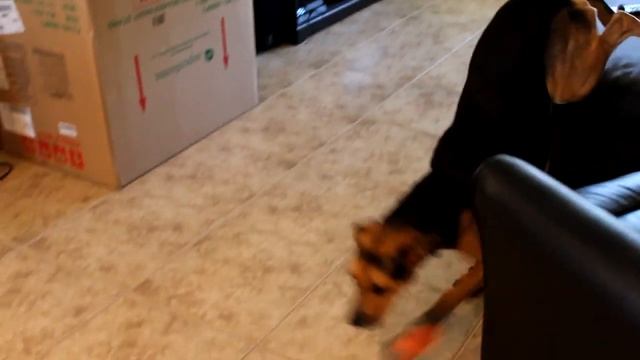 Bill Wearing His Boots.