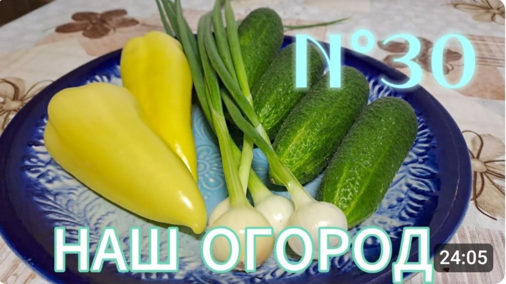 N°30. ОГОРОД || НАШ ПЕРВЫЙ РЕЗУЛЬТАТ ОГОРОДНИЧЕСТВА || ПЕРВЫЙ УРОЖАЙ #суперогород #первыйогород #дом