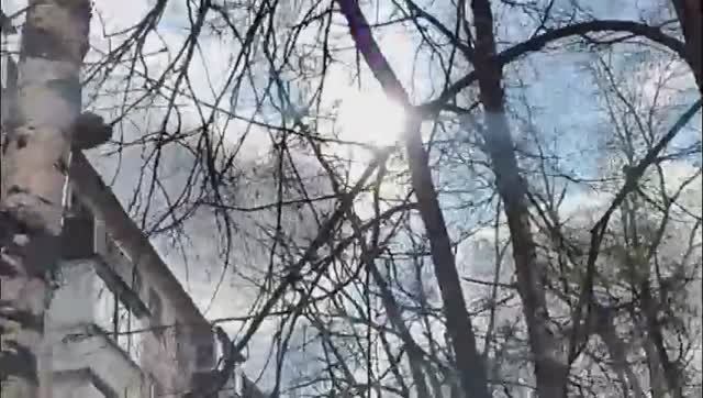 ЮРИСТ НЕ МОЖЕТ НАКОРМИТЬ СЕМЬЮ, ДЕЛЯТ ЙОГУРТ  НА ДВОИХ