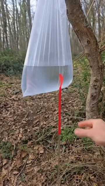 Если идете в поход, это вам точно нужно.

Лайфхак👌