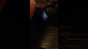 СДЕЛАЛ ЭД4М ЦППК ИЗ ПЛАСТИЛИНА И ФОЛЬГИ