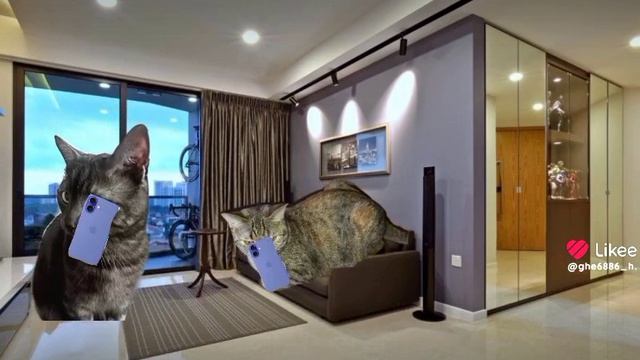 Смешные историй с котами сериал(короткий)пряник и алиска 1 часть