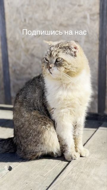 Весенний день ворвался в это небо!