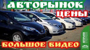 АВТОРЫНОК ЦЕНЫ БОЛЬШОЕ ВИДЕО