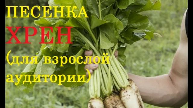 ПЕСНЯ ХРЕН