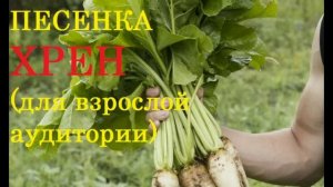 ПЕСНЯ ХРЕН