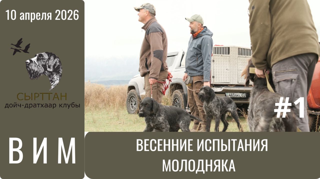 ВИМ - Весенние Испытания Молодняка