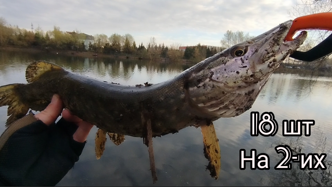 МИКРОДЖИГ ОСНАСТКА ФРИ РИГ/МОРЕ ЩУКИ/ПРИМАНКА КИЛЛЕР РАКИ/РЫБАЛКА В АПРЕЛЕ