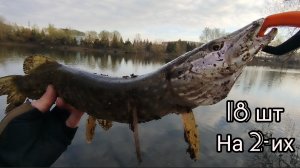 МИКРОДЖИГ ОСНАСТКА ФРИ РИГ/МОРЕ ЩУКИ/ПРИМАНКА КИЛЛЕР РАКИ/РЫБАЛКА В АПРЕЛЕ