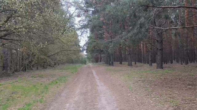 Поездка в родные края🧳🧳🧳☂️🌂