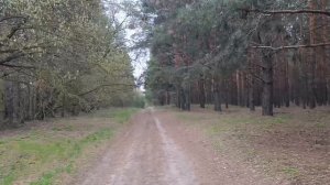 Поездка в родные края🧳🧳🧳☂️🌂