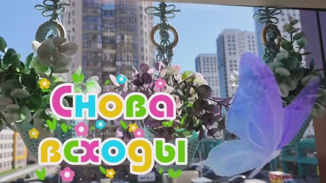 18.04.26 Оранжерея, Солнышко, Красота🌸