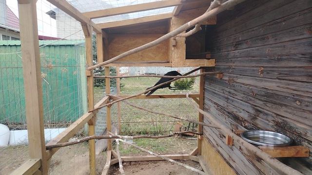 Ворон Гриша 19 апреля, с праздником