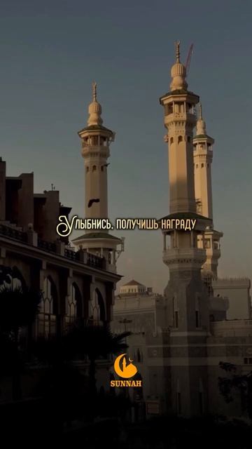 #хадис #hadis Помни Аллаха когда тебе хорошо!