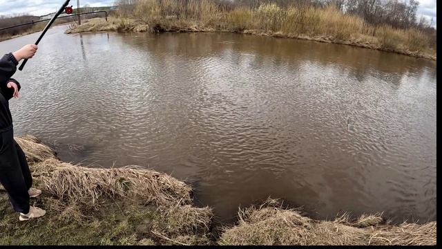 Улов на реке Чусовая и озеро Глубоченское)