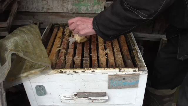 Обработка пчёл от клеща щавелевой кислотой. 19.04.2026