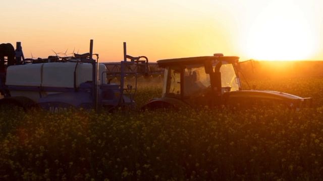 Польша на грани продовольственного кризиса: решение Владимир Путин ставит Дональд Туск перед тяж