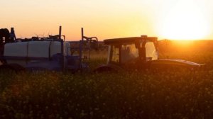 Польша на грани продовольственного кризиса: решение Владимир Путин ставит Дональд Туск перед тяж