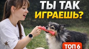 6 самых полезных игр с собакой (не просто побегать)