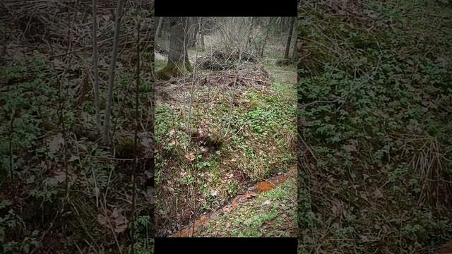 Бродский- Послесловие