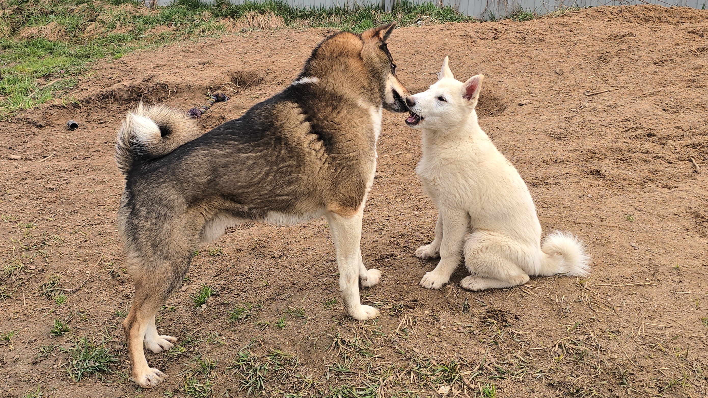 Зачем мне лайки