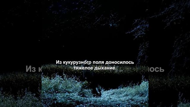 хороший фильм на вечер