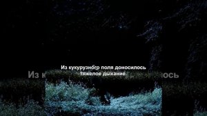 хороший фильм на вечер