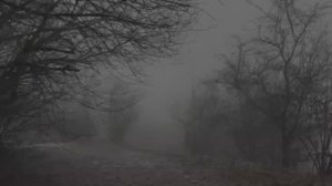 эстетика серого цвета// я старалась 🫂