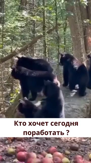 Кто хочет сегодня поработать ?