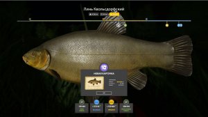 МЕГА ФАРМ С ТРОФАМИ НА МЕДНОМ, РАЗДАЧИ НА АХТУБЕ И ЛОСИНОМ В РУССКОЙ РЫБАЛКЕ ОБЗОР ВОДОЕМОВ РР4