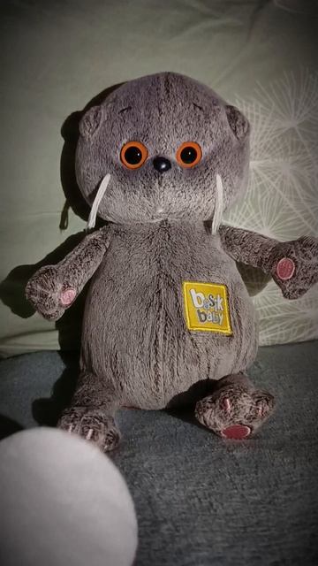 уход за Басиком🐈⬛