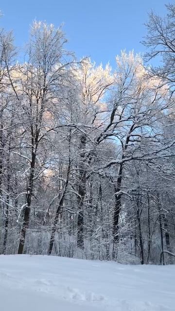 Зима в парке. 2026 г. 16