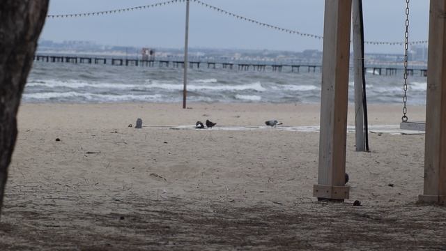 Море в Анапе немного штормит с утра 19.04.26 #Анапа #Море