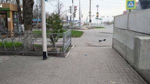 Иду по Белгороду навстречу с друзьями потанцевать.18.04.26