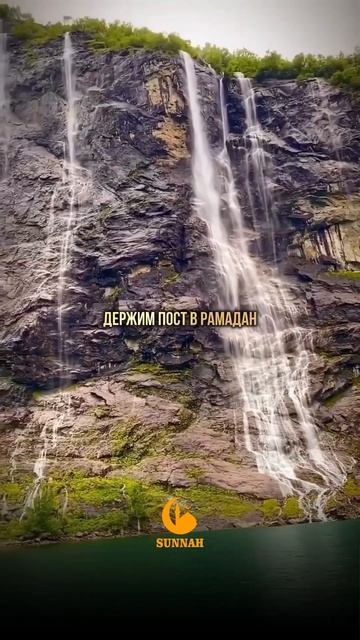 Что такое Ислам? #ислам #напоминание #хадис #мусулман