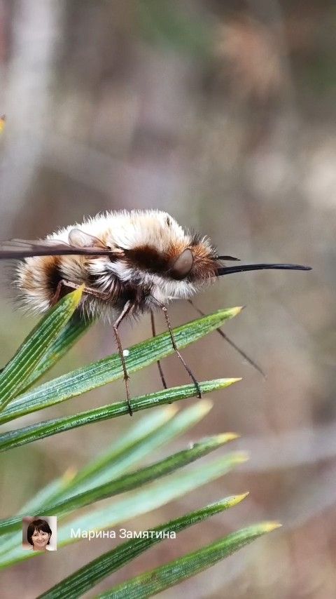Прогуляемся...
