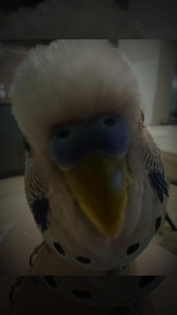 мой первый эдит