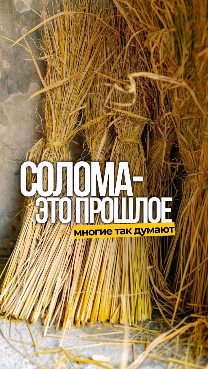 Солома — это не прошлое, а будущее 🌾