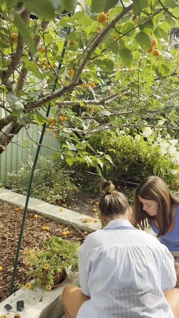 ЗАКАЖИ САМАРА ФУРШЕТ ЗВЁЗДНЫЙ ЮРИЙ 8 917 153 98 68