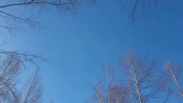 Я НАВЕКИ буду вместе с НЕЙ на стихи Сергея Шарова