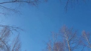 Я НАВЕКИ буду вместе с НЕЙ на стихи Сергея Шарова
