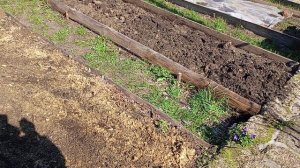 Сидераты на грядки 2 ч