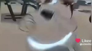 Эдит Мемный Сукуна.